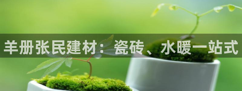 杏鑫手机客户端