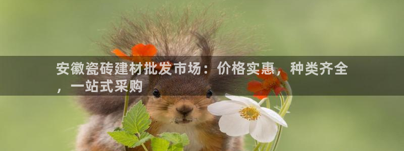 杏鑫平台是黑平台吗知乎