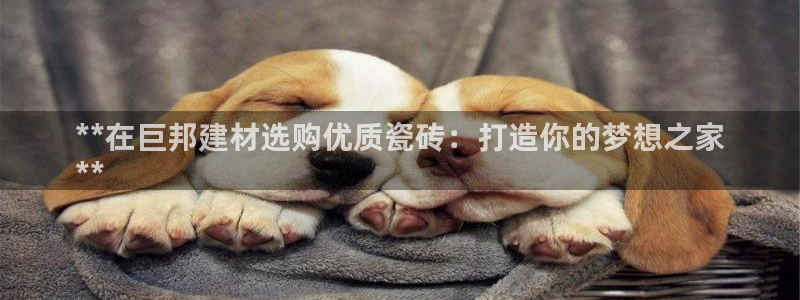 杏鑫平台招商电话号码查询