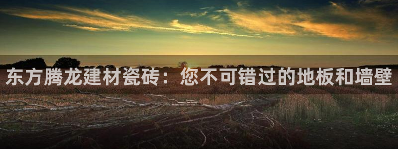 杏鑫平台是黑平台吗