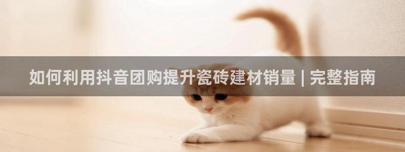 杏鑫3主管
