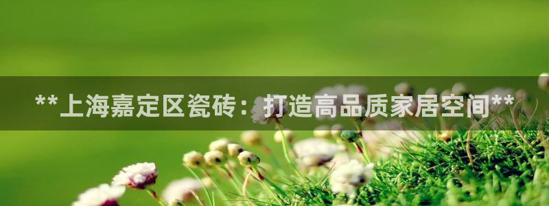 杏鑫平台招商电话号码查询