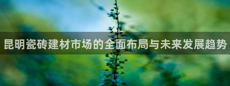 杏鑫平台招商