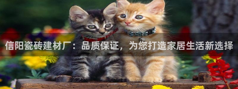 杏鑫官方app代理