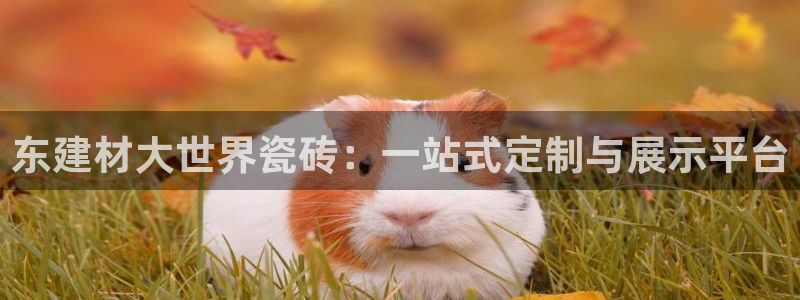 杏鑫娱乐官方网站客户端登录