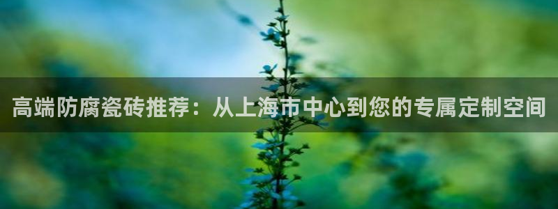 杏鑫平台是黑平台吗是真的吗