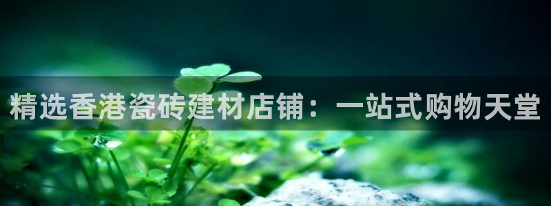 杏鑫官网注册账号是什么意思