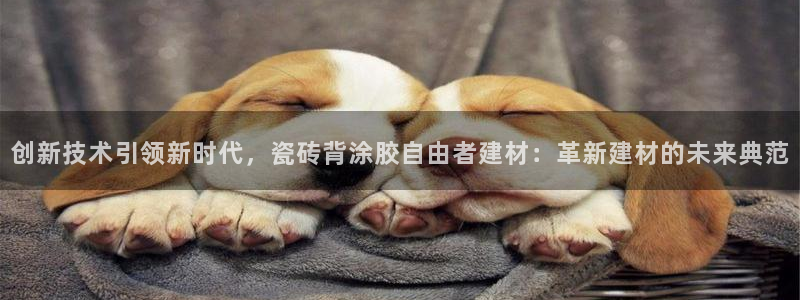 杏鑫娱乐官方网站客户端