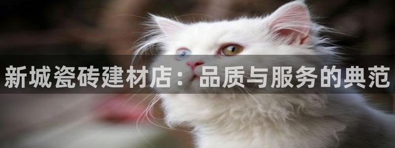 杏鑫官方平台怎么样啊知乎