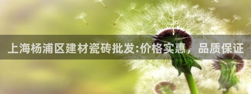 杏鑫平台注册网址查询