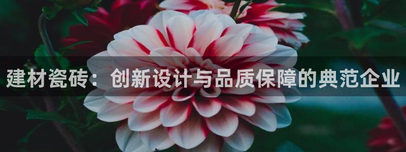 杏鑫官网注册账号密码是什么