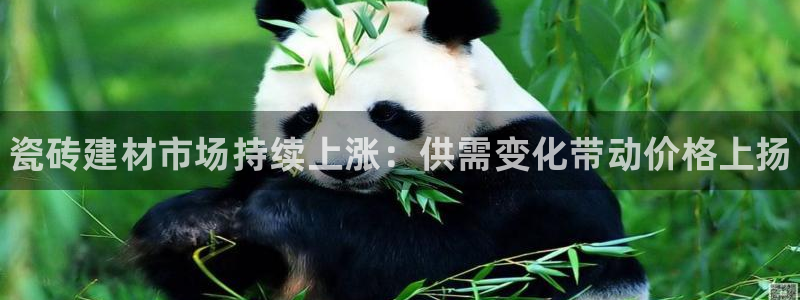 杏鑫平台注册地址在哪里