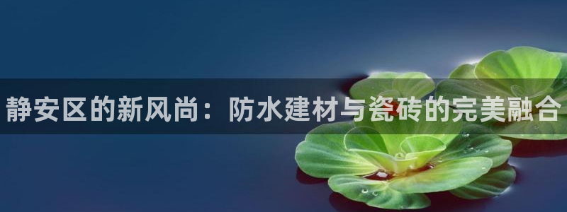 杏鑫代理注册资金多少