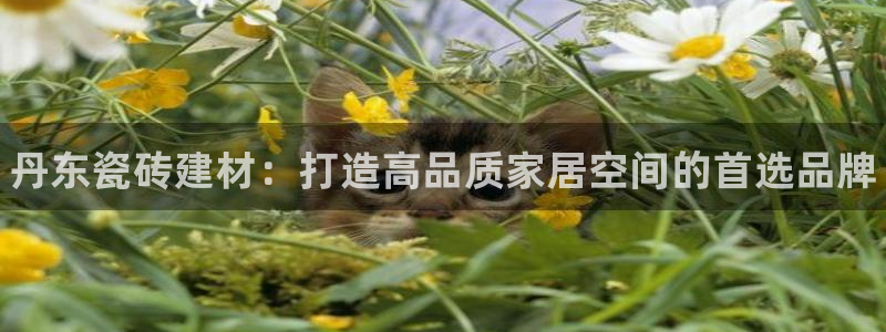 杏鑫代理注册登录