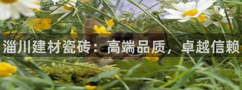 杏鑫平台怎么样黑钱吗知乎推荐