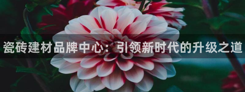 杏鑫平台平台娱乐怎么样