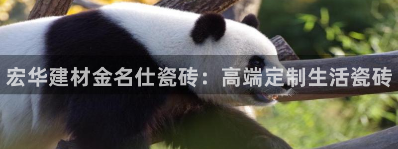 杏鑫平台代理怎么做赚钱