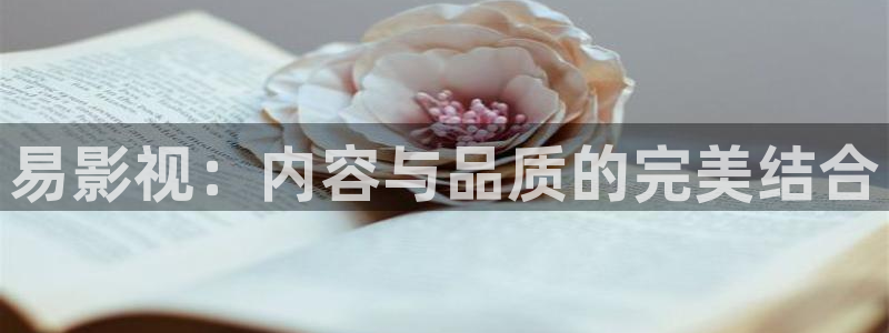 情迷但丁湾第一季完整在线播放：易影视：内容与品质的完美结合