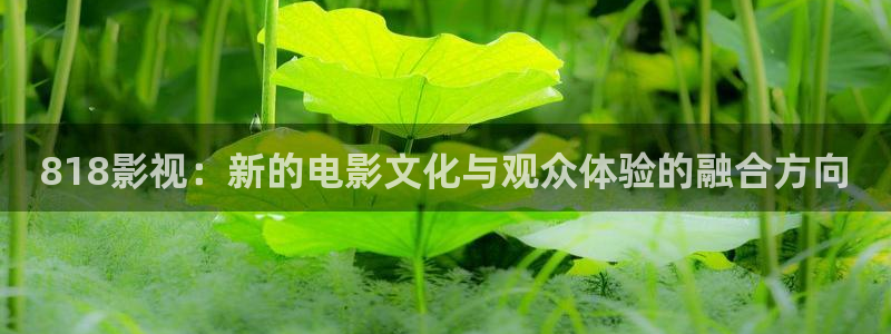 奇优电影电视剧第一页