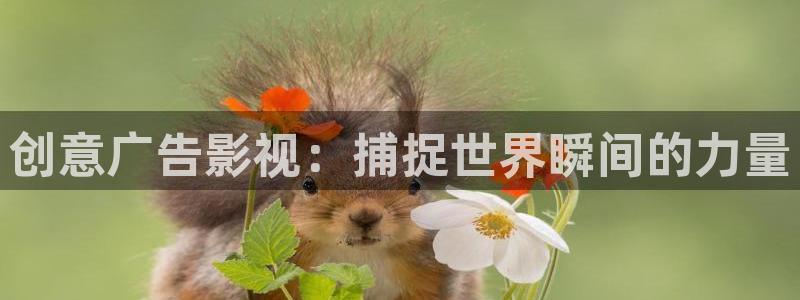 欧美第一影院