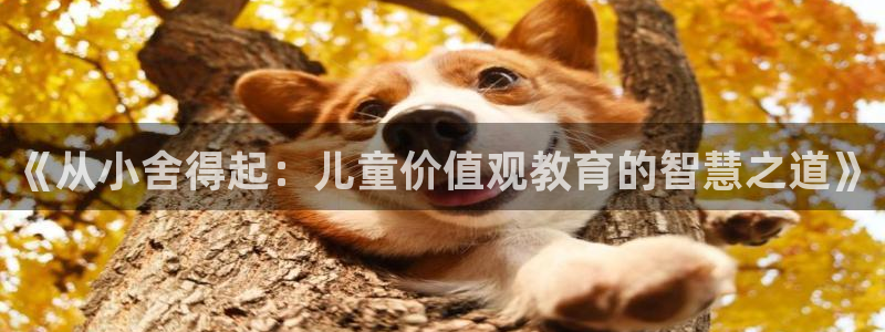 余罪第一季策驰影院